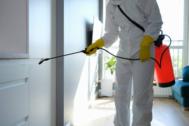 Best Commercial Mold Removal  in Lemont Furnace, PA
