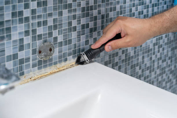 Best Professional Mold Removal  in Lemont Furnace, PA