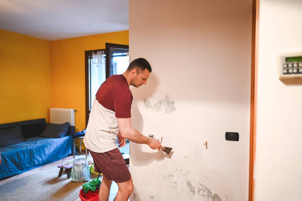 Best Certified Mold Removal  in Lemont Furnace, PA